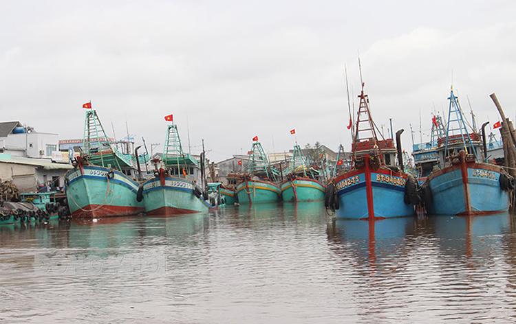Bến Tre khẩn trương hoàn chỉnh đăng ký tàu '3 không' 1 Bến Tre khẩn trương hoàn chỉnh đăng ký tàu '3 không'